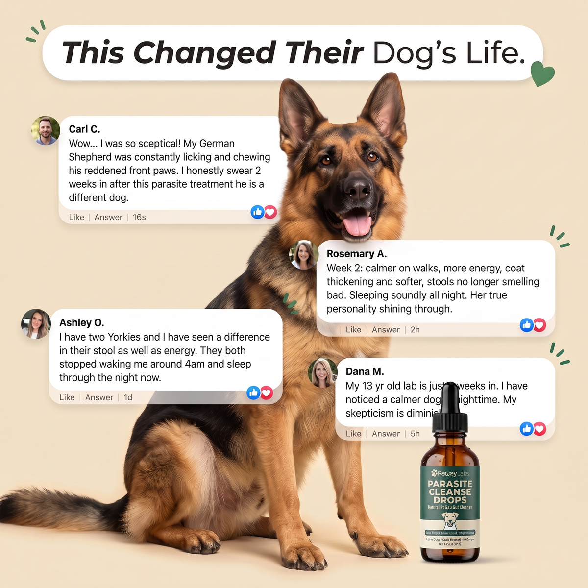 PawsyLabs™ - Parasite Cleanse Drops