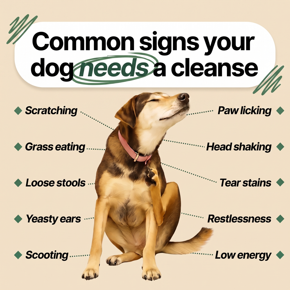 PawsyLabs™ - Parasite Cleanse Drops